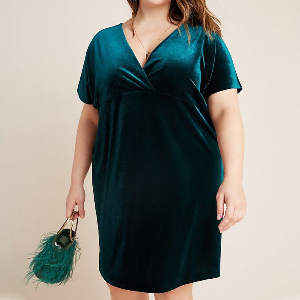 Anthropologie Nancy Velvet Tunic